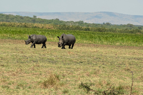 Een driedaagse wildsafari in Akagera