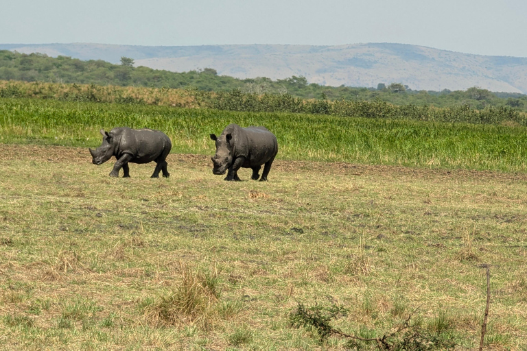 Eine dreitägige Akagera Wildsafari