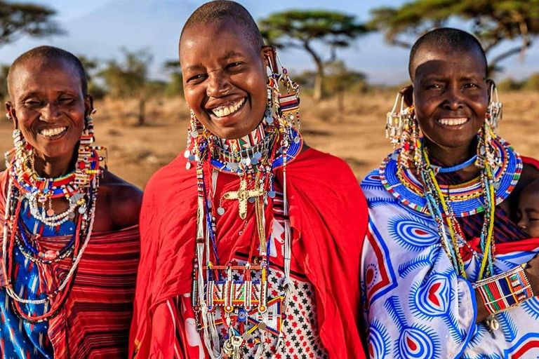 Moshi:Maasai Boma Kulturerlebnis-Tagestour mit Transfer