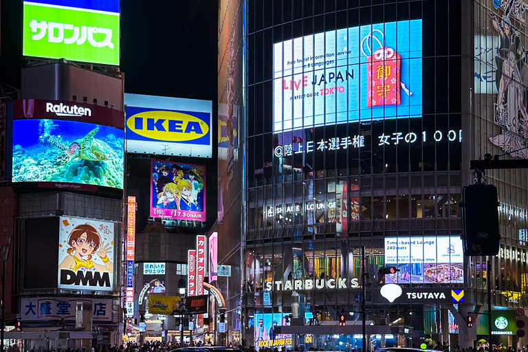 Tour privato di Tokyo in auto con autista di lingua inglese