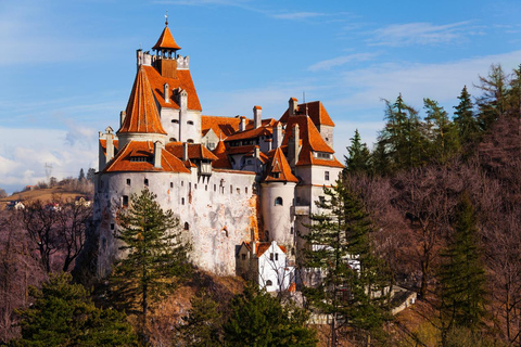 Hoppa över linjen på Bran Castle med guidad tur