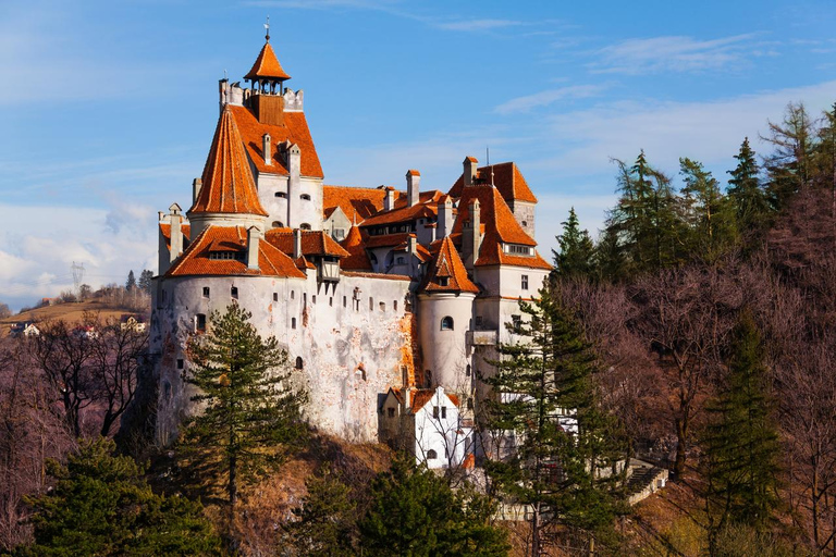 Coupe-file au château de Bran avec visite guidée