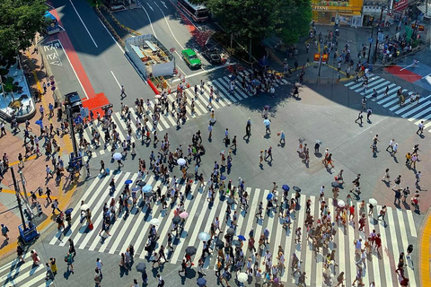 Tokyo: Private City Highlights Tour with Local Guide