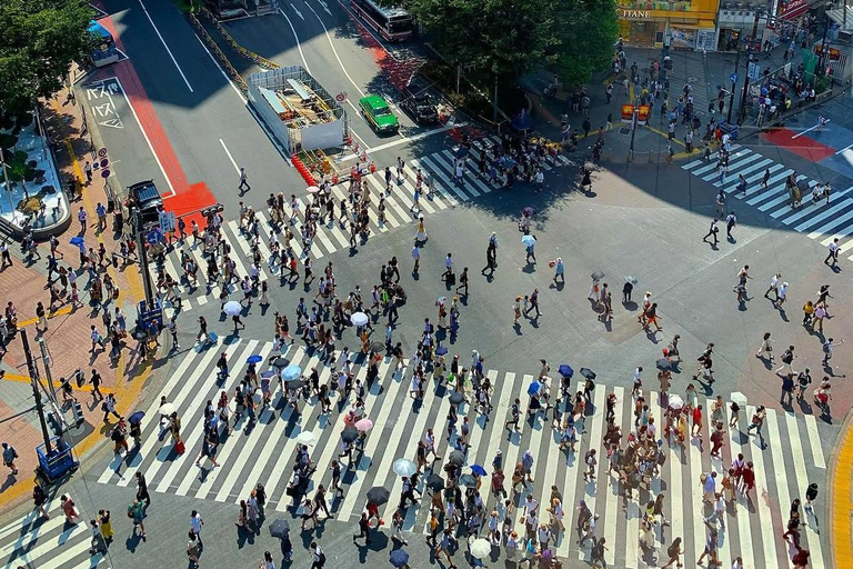 Tokyo: Private City Highlights Tour with Local Guide