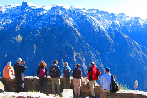 Tour panoramico del Canyon del Colca di 2 giorni con arrivo a Puno Hotel***Tour panoramico del Canyon del Colca di 2 giorni con arrivo a PunoHotel***