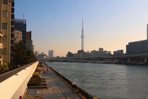 Tokyo Private Tour with English speaking driver Minivan (1-6)