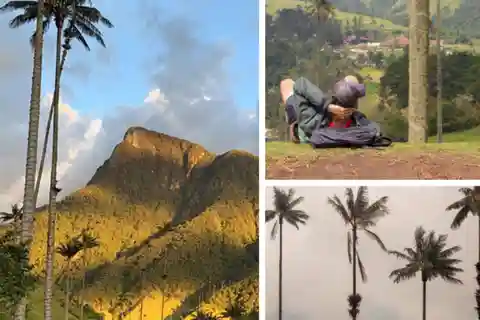 Salento, Cocora Valley and coffee tour