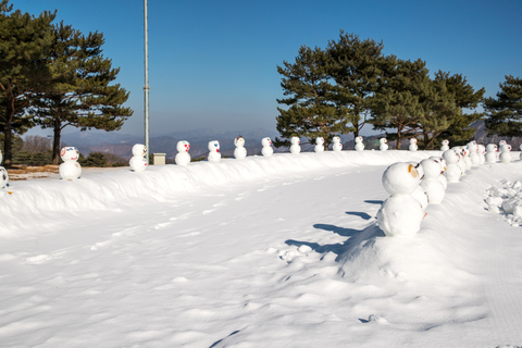 Séoul : cueillette de fraises, descente en luge dans la vallée de glace d&#039;EobiVisite en groupe, départ de la gare de l&#039;Université Hongik