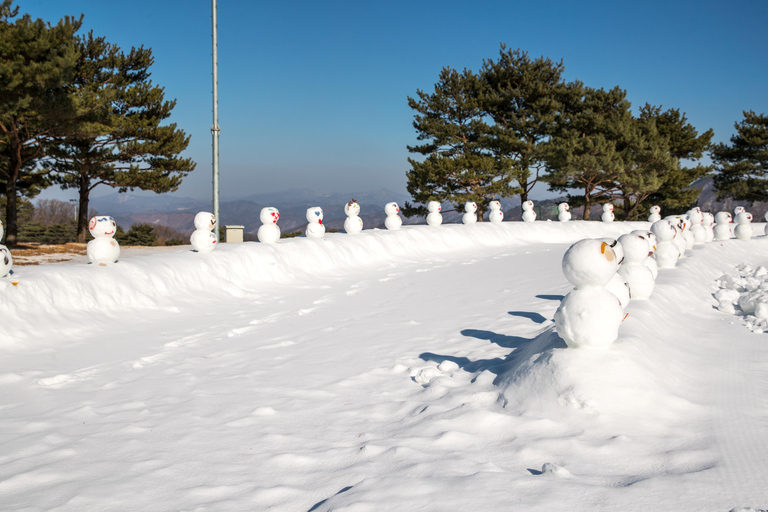 Séoul : cueillette de fraises, descente en luge dans la vallée de glace d&#039;EobiVisite en groupe, départ de la gare de l&#039;Université Hongik