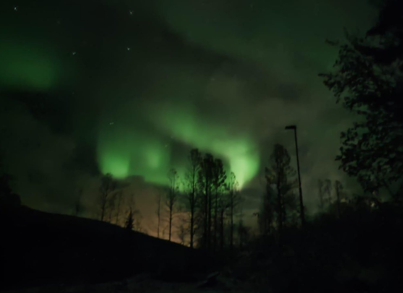 Harstad/Narvik/Tjeldsund: Nordlys-sightseeing i bil