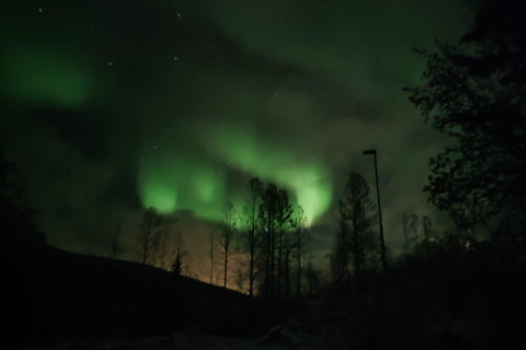 Harstad/Narvik/Tjeldsund: Northern Lights Sightseeing by Car