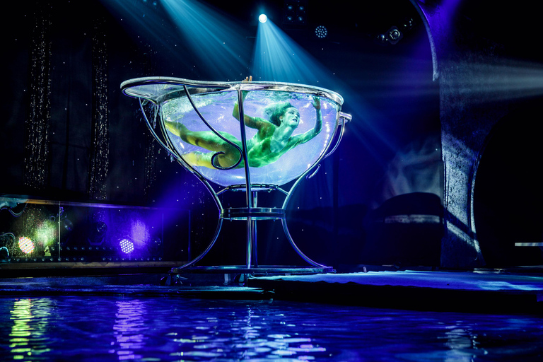 Sarrasani - spectacular show with exclusive 4-course dinner! Sarrasani - Spectacular Show with Exclusive 4-Course Dinner!