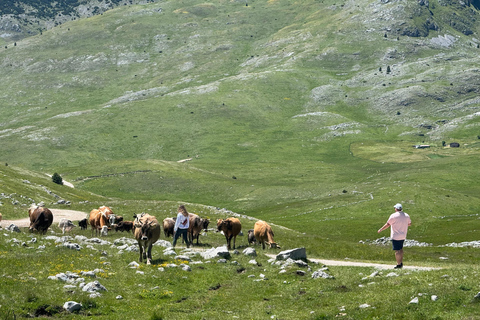 From Sarajevo: Private Lukomir Village 4x4 SafariPrivate Tour With Lunch at Lukomir Village