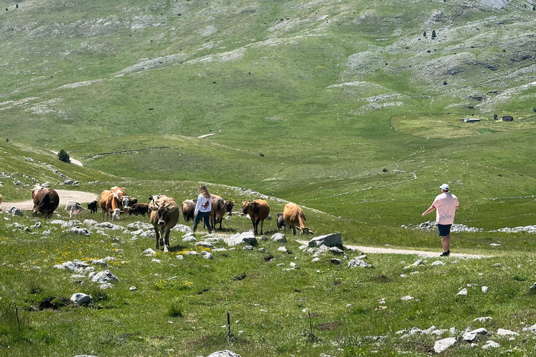 From Sarajevo: Private Lukomir Village 4x4 SafariPrivate Tour With Lunch at Lukomir Village