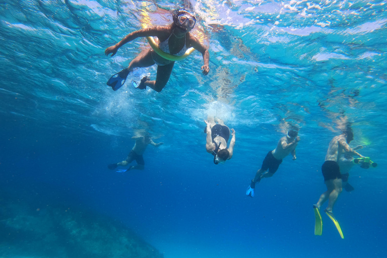 Paphos: Schildpadden kijken Snorkelen Zee Scooter Trip