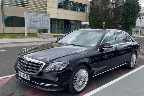 Prywatny transfer między lotniskiem w Marsylii a lotniskiem w NiceiNicea - Marsylia Mercedes klasy S Limuzyna 2/3 osoby