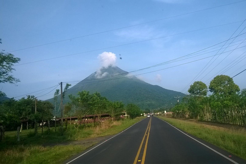 San José: La Fortuna Transfer with Coffee Tour at Doka Farm