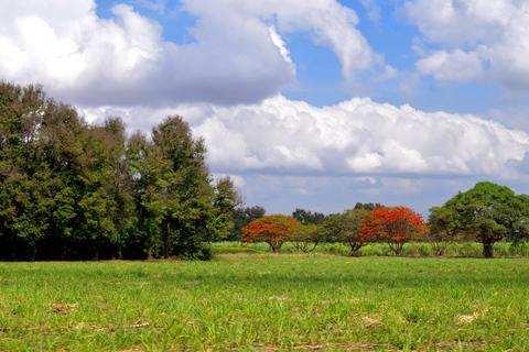 Moshi: Sugar Plantation Bike Tour