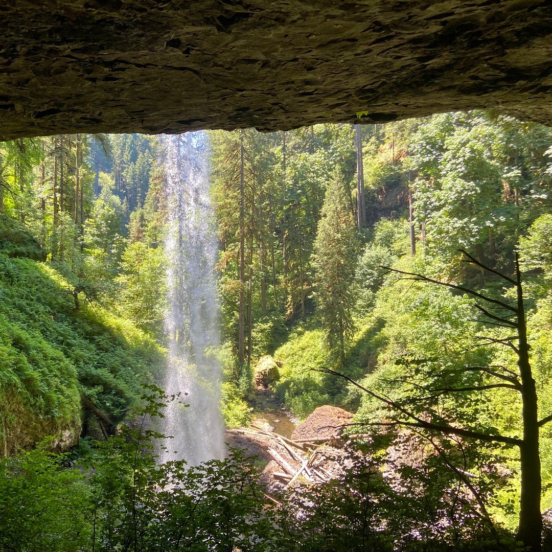 オレゴン州ポートランド：シルバーフォールズ州立公園の滝