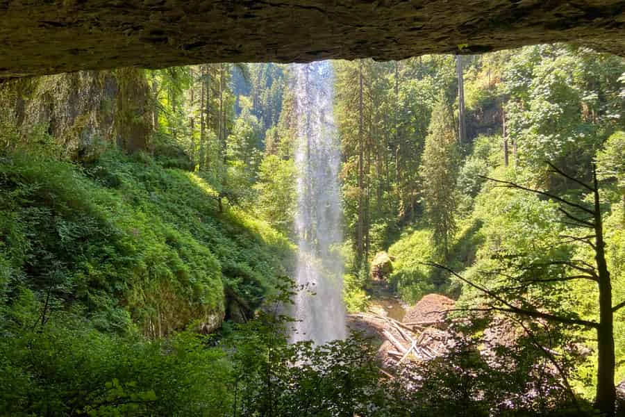 Portland, Oregon: Wasserfall-Wanderung im Silver Falls State Park. Foto: GetYourGuide