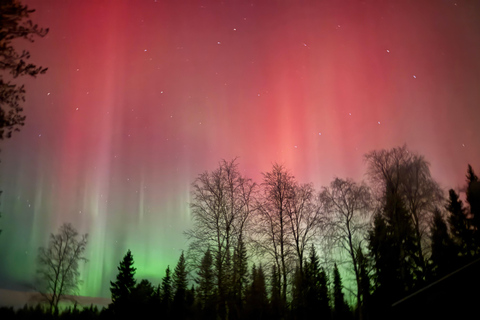 Rovaniemi: Guarantee Aurora Tour To Fill Your Deepest Dreams Private