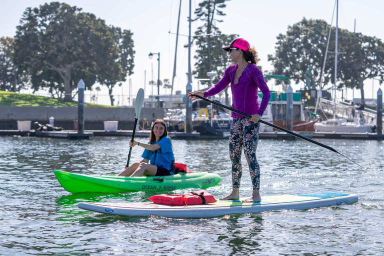 Marina del Rey: Paddleboard Rental Experience 1,5h Rental Experience