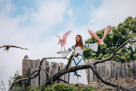 Les Epesses: Puy du Fou Themapark 1 DagticketGeavanceerd boeken