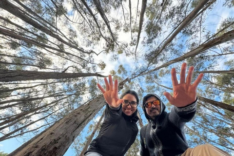 Cusco: esperienza fotografica del tour della città