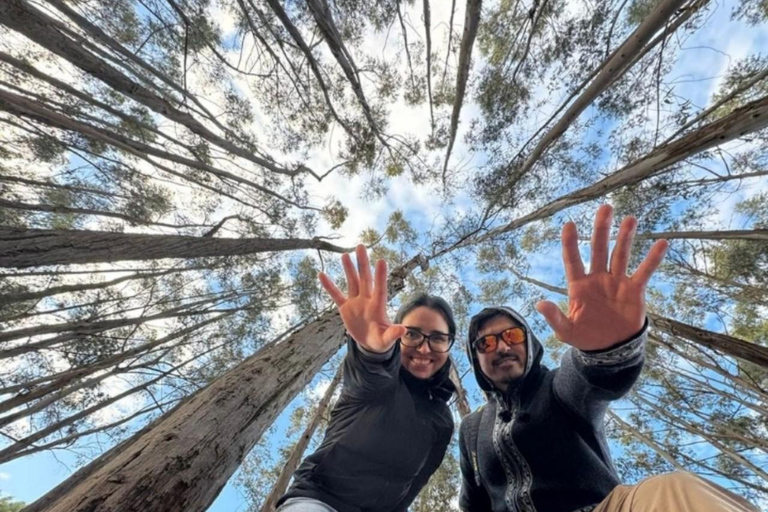 Cusco: esperienza fotografica del tour della città