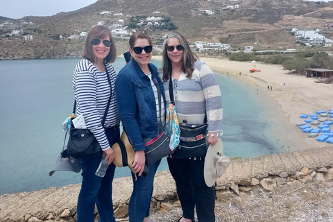 Mykonos: Farm, Ano Mera Village, and Beaches Guided Tour