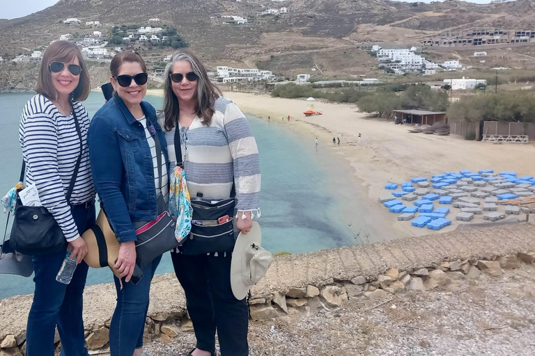 Mykonos: Tour guidato della Fattoria, del Villaggio di Ano Mera e delle Spiagge