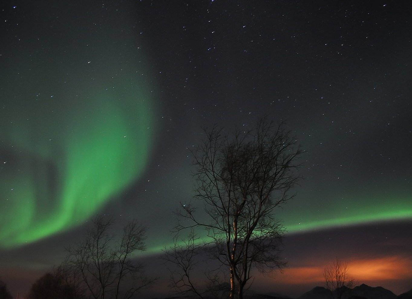 Tromsø: Nordlys Husky-besøg med traditionel middag