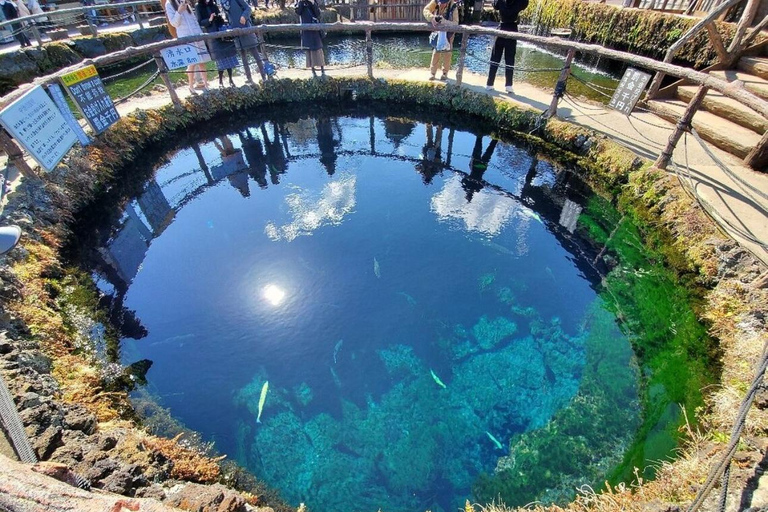 Mt Fuji Sightseeing Private tour with English Speaking Guide