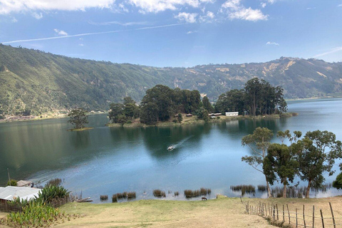 From Addis Ababa: Menagesha Suba Forest Hike & Wildlife Tour