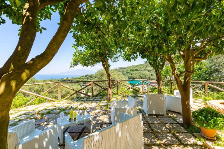 Lemon Grove Walk, Tastings, Aperitivo & Open Bar in Sorrento Lemon Tasting in Sorrento - Italian