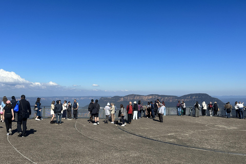 Blue Mountains Tour w/Lunch: Scenic World, Zoo & Koala Photo