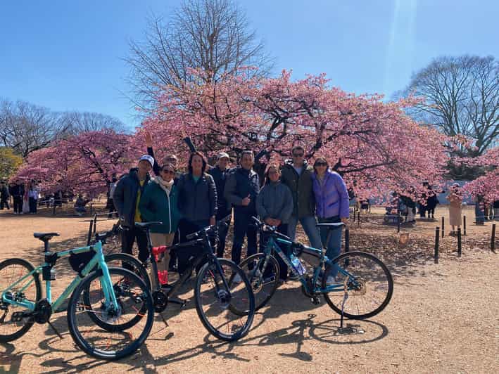 Tokio: 3-stündige Städtetour per Fahrrad oder E-Bike mit Kirschblüten