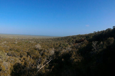 Malindi/Watamu: Half day adventure in Arabuko Sokoke Forest