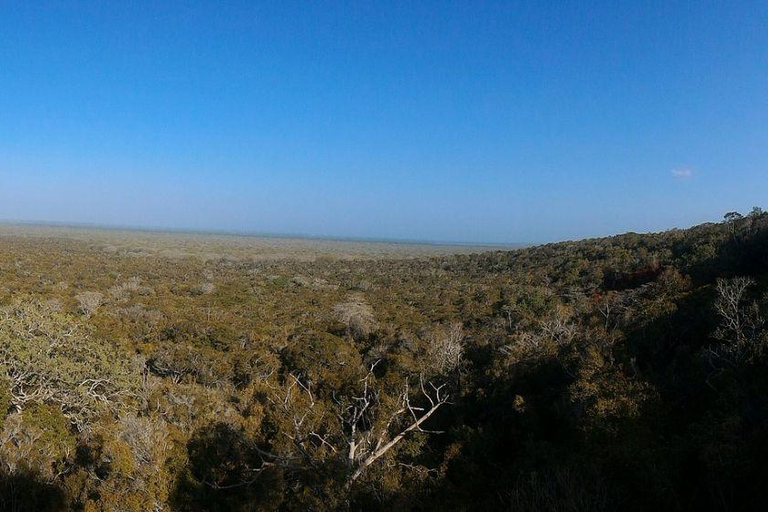 Malindi/Watamu: Half day adventure in Arabuko Sokoke Forest