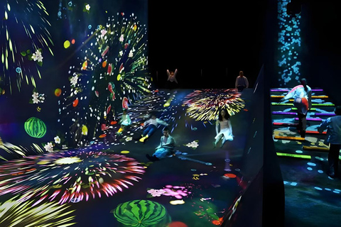 Tokyo: Tsukiji Fish Market Tour, TeamLab Planets & Subway 9:00 AM Tsukiji Tour & TeamLab Entry (12:30-16:00)