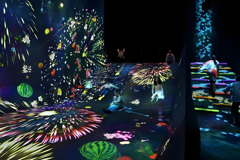 Tokyo: Tsukiji Fish Market Tour, TeamLab Planets & Subway 9:00 AM Tsukiji Tour & TeamLab Entry (12:30-16:00)