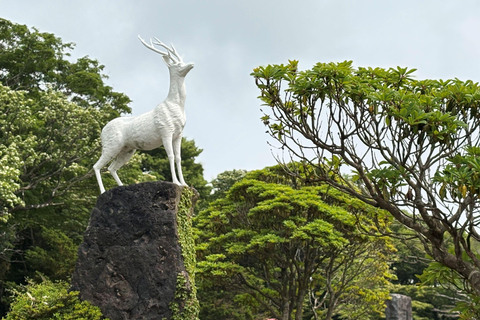 Jeju Small Group Tour incl. Yacht Cruise, Falls & Mt.Halla Jeju Small Group Tour with Yacht Cruise, Falls & Mt.Halla