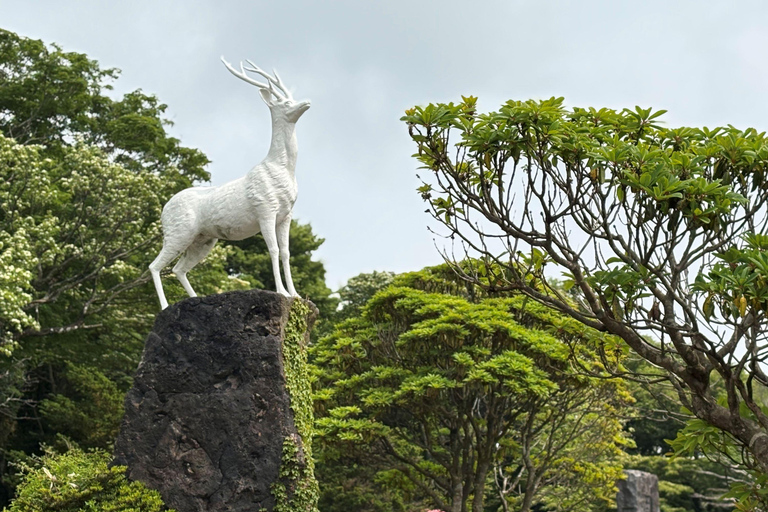 Jeju Small Group Tour incl. Yacht Cruise, Falls & Mt.Halla Jeju Small Group Tour with Yacht Cruise, Falls & Mt.Halla