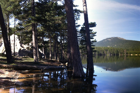 Porto Vecchio: Ospedale Forest i Bavella Needles 4x4 Tour