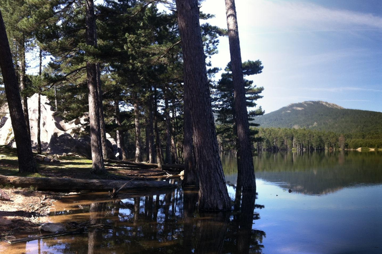 Porto Vecchio: Ospedale Forest & Bavella Needles 4x4 Tour