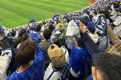 Japan Baseball Admission Ticket (Tokyo Stadiums)