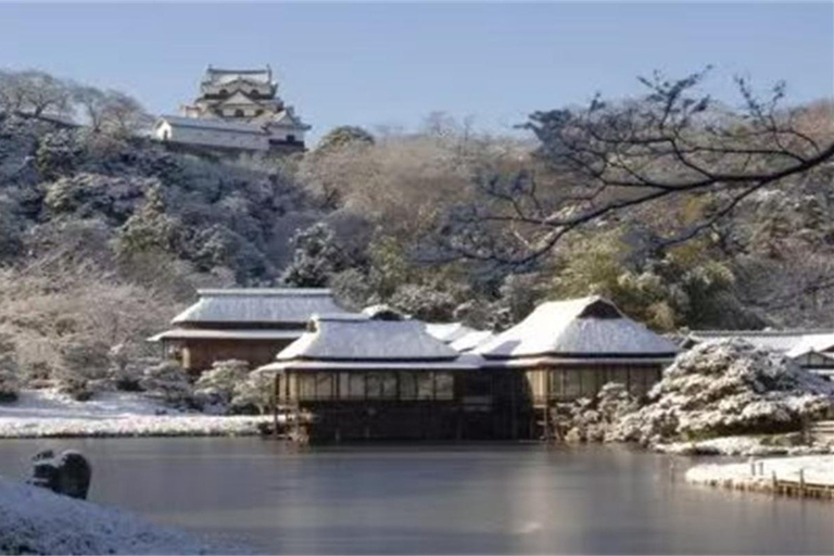 Iga: Lake Biwa Architecture & Miho Museum Day Trip Osaka