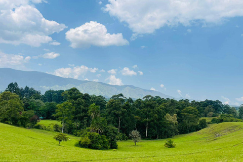 Uganda: 2-Day Chimpanzee Trekking, Hot Springs & Craters