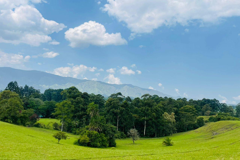 Uganda: 2-Day Chimpanzee Trekking, Hot Springs & Craters
