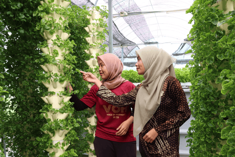 بينانج: جولة مزرعة قرية الفانيليا بواسطة كايروس